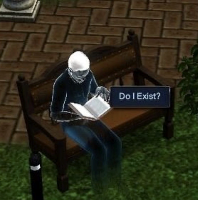 Do I Exist?