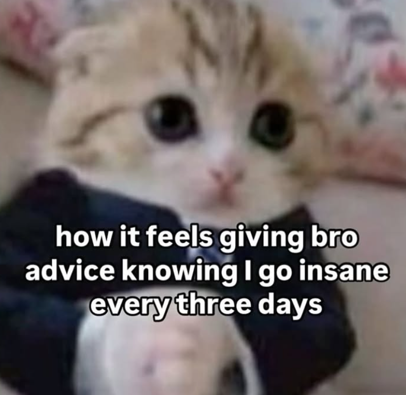 how it feels giving bro advice knowing I go insane every three days A