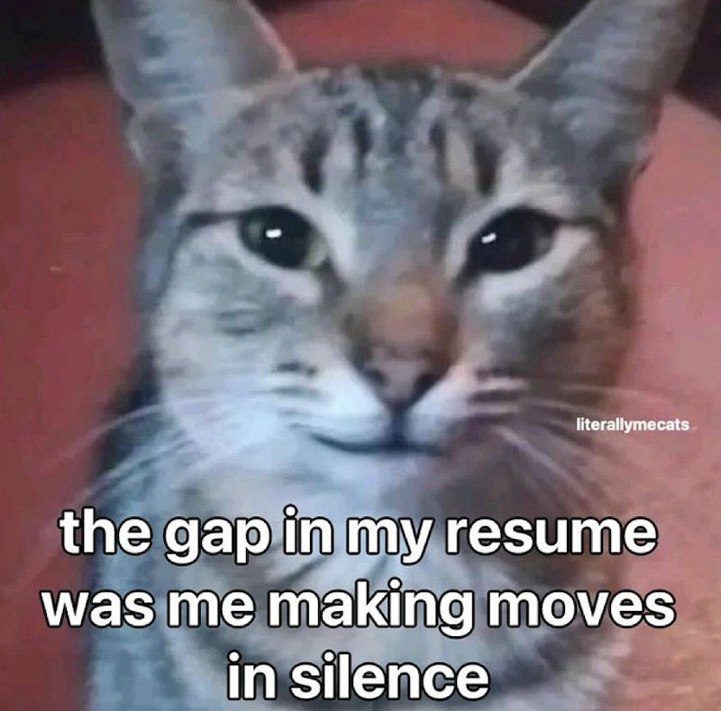 literallymecats the gap in my resume was me making moves in silence