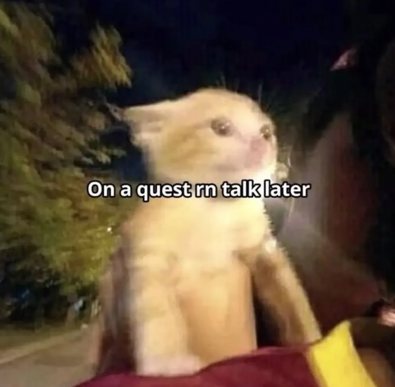 On a quest rn talk later