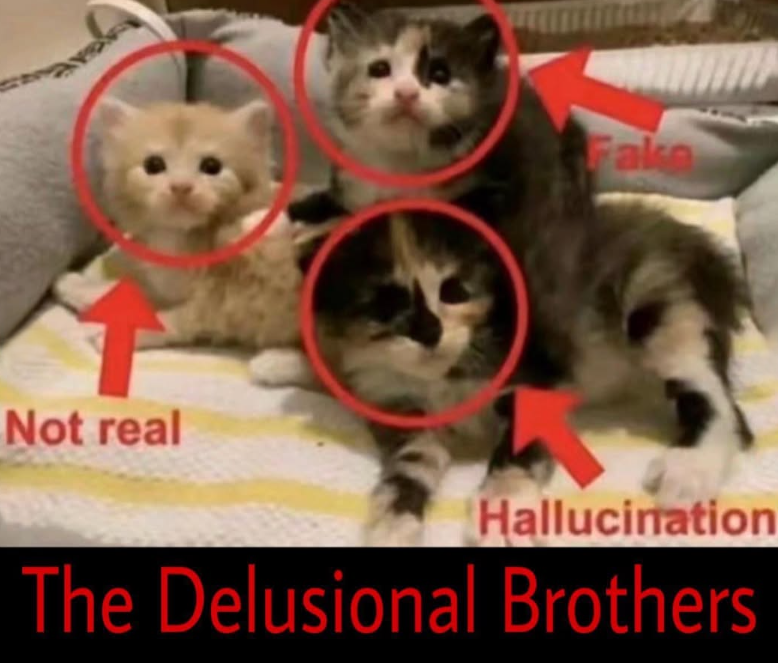 Not real Fake Hallucination The Delusional Brothers