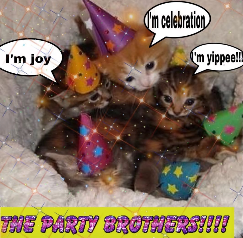 I'm joy I'm celebration I'm yippee!! THE PARTY BROTHERS!!!!