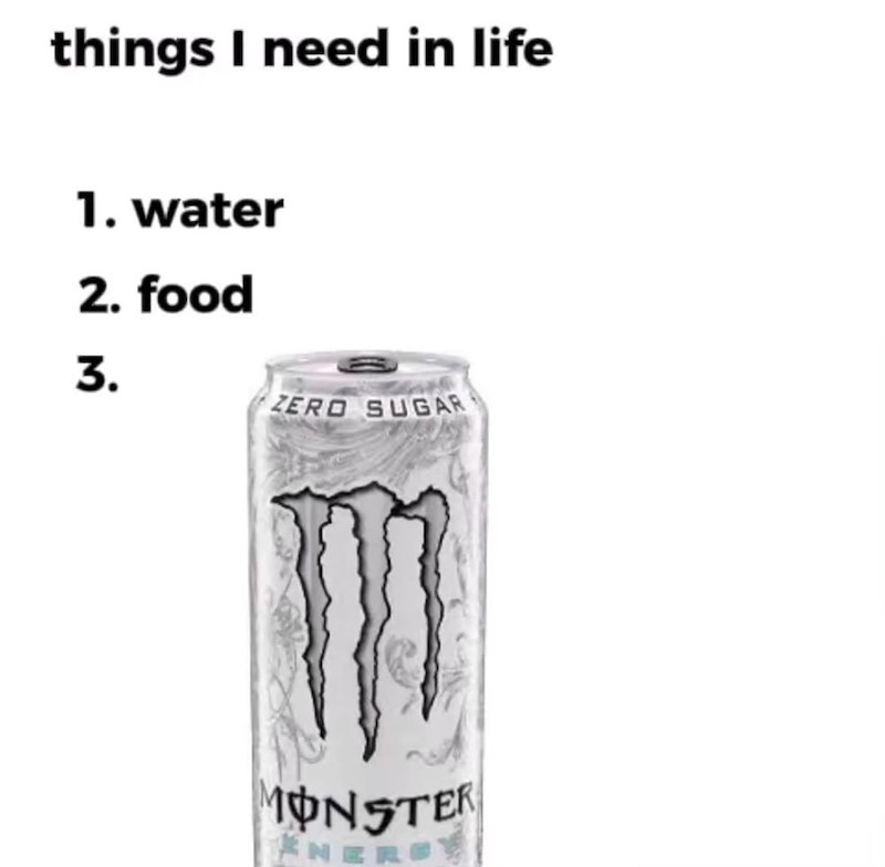 things I need in life 1. water 2. food 3. ZERO SUGAR MONSTER