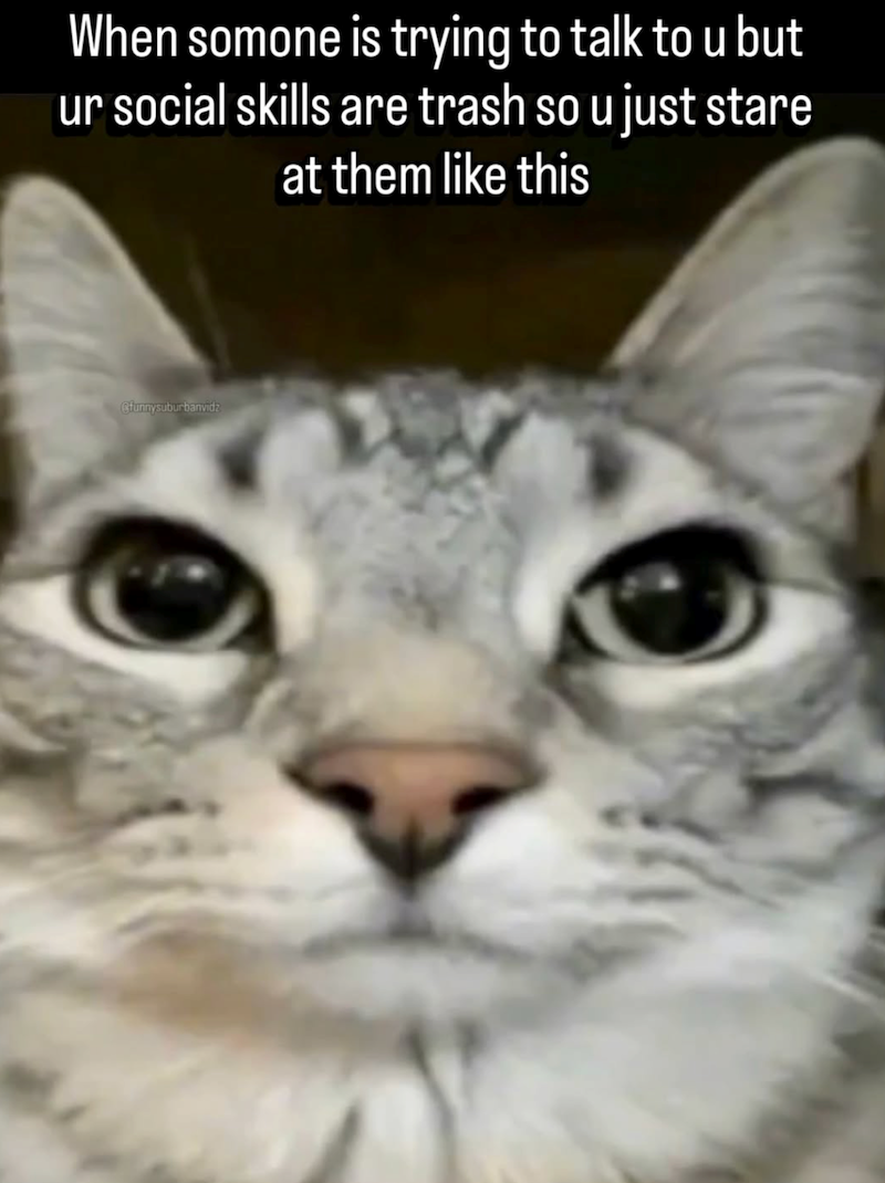 When somone is trying to talk to u but ur social skills are trash so u just stare at them like this Cfunnysuburbanvidz