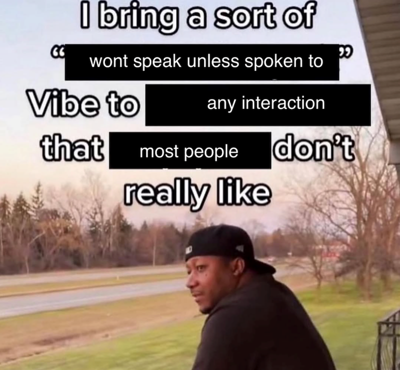 I bring a sort of wont speak unless spoken to Vibe to any interaction that most people really like don't