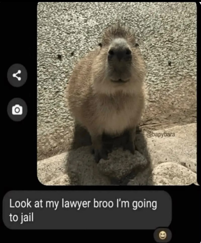 < @bapybara Look at my lawyer broo I'm going to jail