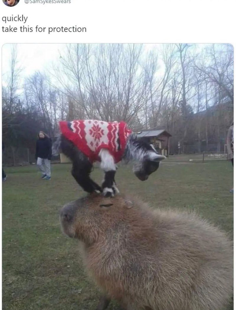 @SamSykesSwears quickly take this for protection