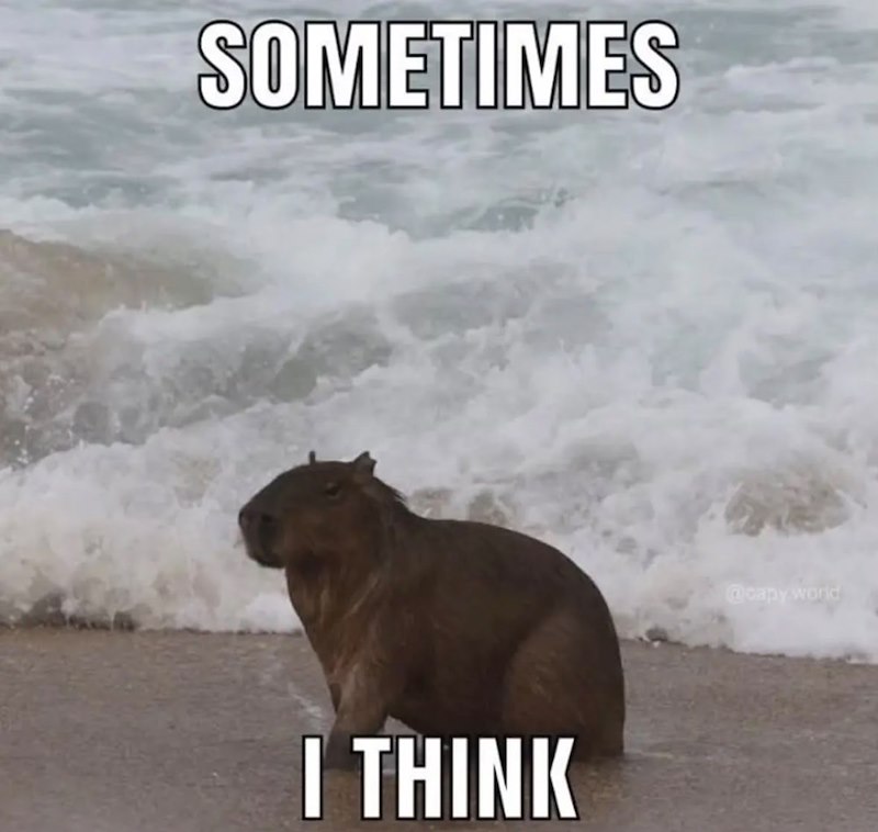 SOMETIMES I THINK @capy world
