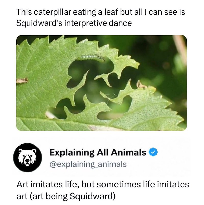 This caterpillar eating a leaf but all I can see is Squidward's interpretive dance Explaining All Animals @explaining_animals Art imitates life, but sometimes life imitates art (art being Squidward)