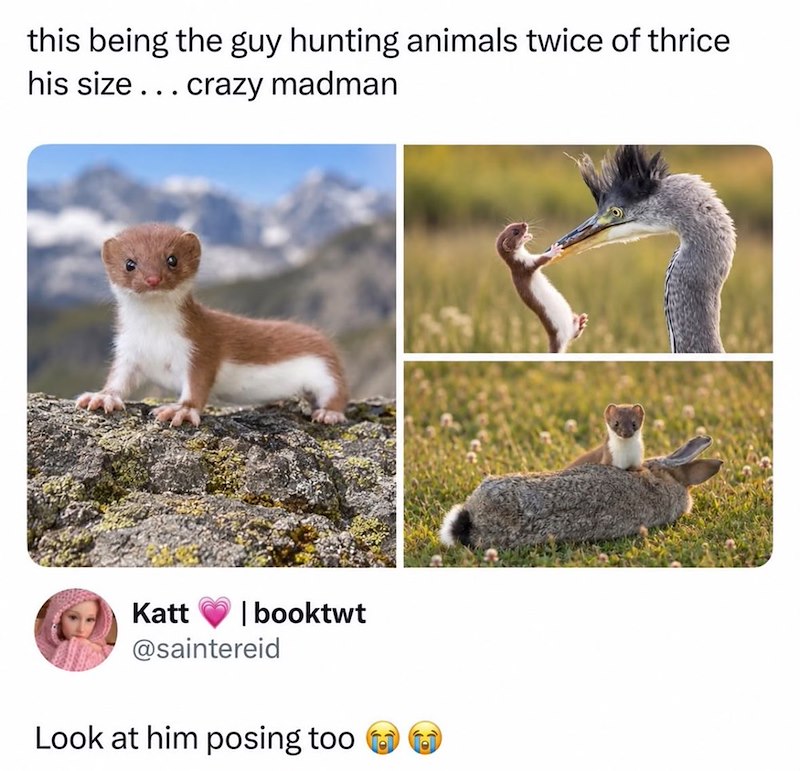 this being the guy hunting animals twice of thrice his size... crazy madman | booktwt Katt @saintereid Look at him posing too