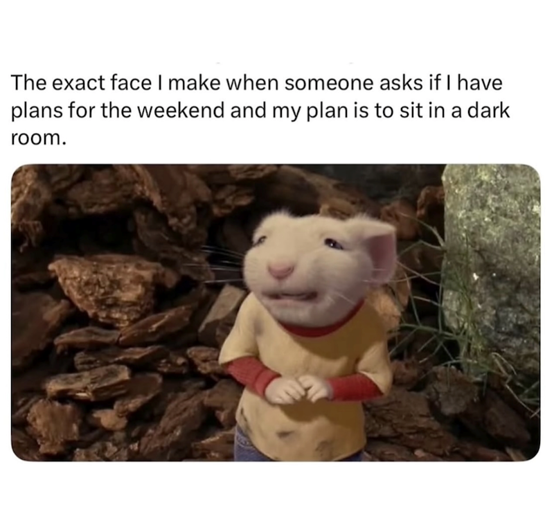 The exact face I make when someone asks if I have plans for the weekend and my plan is to sit in a dark room.