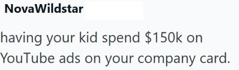 Nova Wildstar having your kid spend $150k on YouTube ads on your company card.
