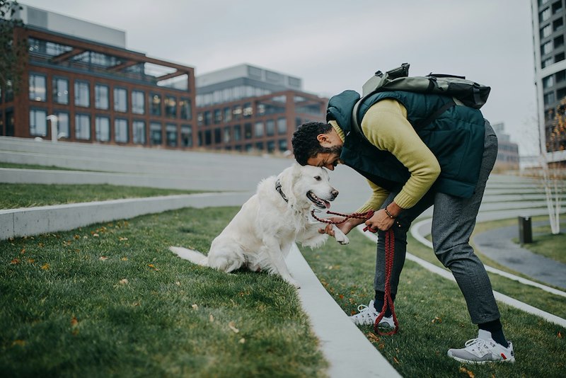 A young man trains his white dog on a leash outdoors in a park