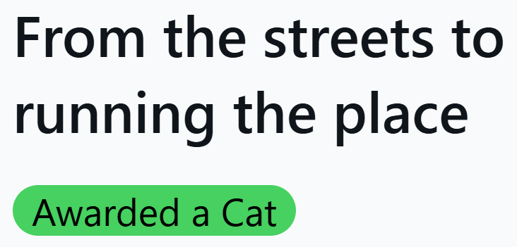 From the streets to running the place Awarded a Cat