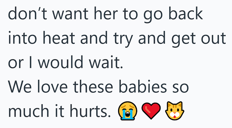 don't want her to go back into heat and try and get out or I would wait. We love these babies so much it hurts.