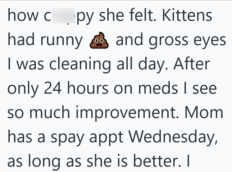 how copy she felt. Kittens had runny '00 and gross eyes I was cleaning all day. After only 24 hours on meds I see so much improvement. Mom has a spay appt Wednesday, as long as she is better. I
