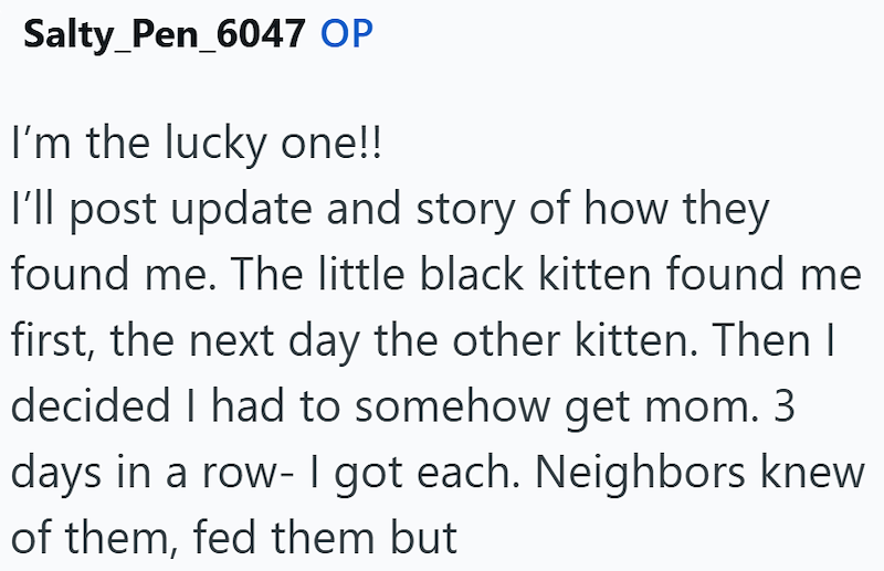 Salty_Pen_6047 OP I'm the lucky one!! I'll post update and story of how they found me. The little black kitten found me first, the next day the other kitten. Then I decided I had to somehow get mom. 3 days in a row- I got each. Neighbors knew of them, fed them but