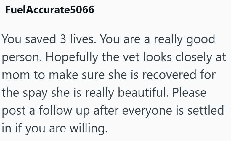 FuelAccurate5066 You saved 3 lives. You are a really good person. Hopefully the vet looks closely at mom to make sure she is recovered for the spay she is really beautiful. Please post a follow up after everyone is settled in if you are willing.