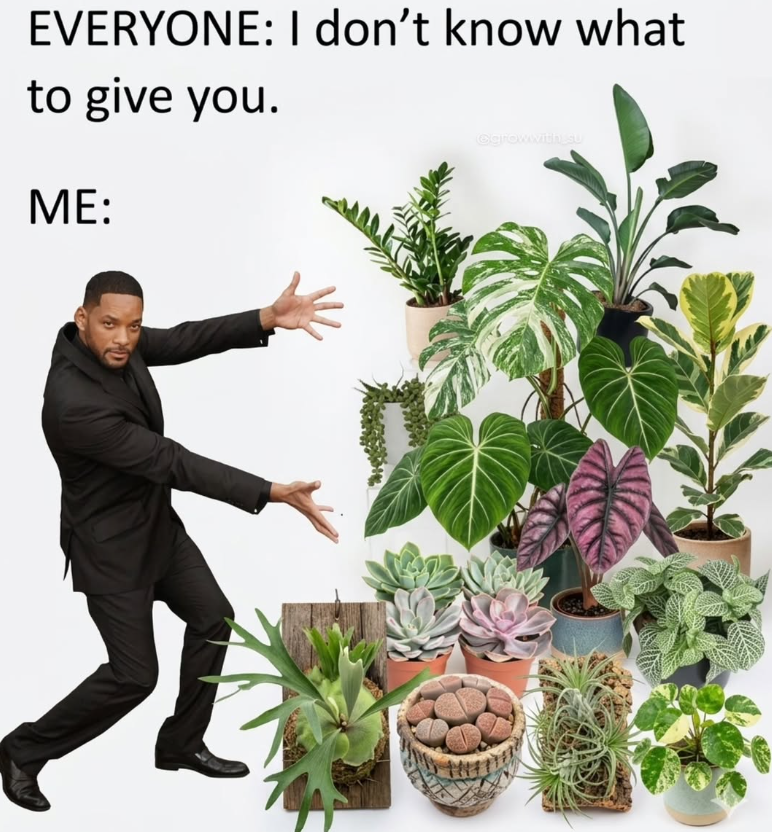 EVERYONE: I don't know what to give you. ME: Єgrowwith SU