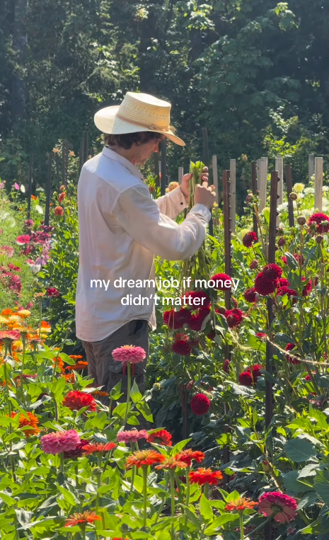my dream job if money didn't matter