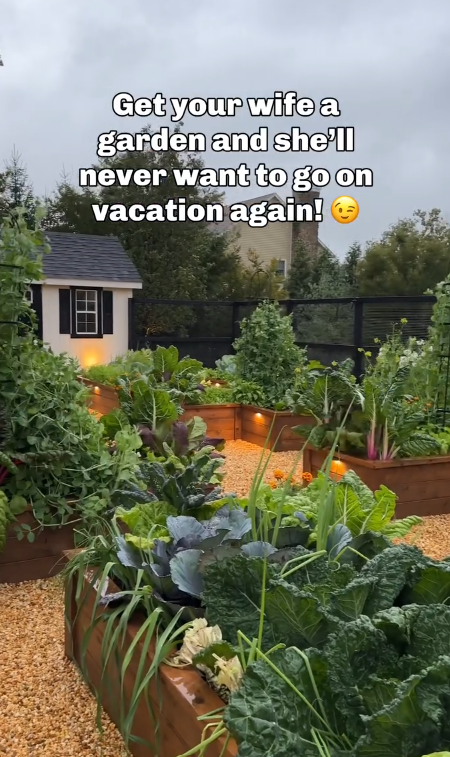 Get your wife a garden and she'll never want to go on vacation again!