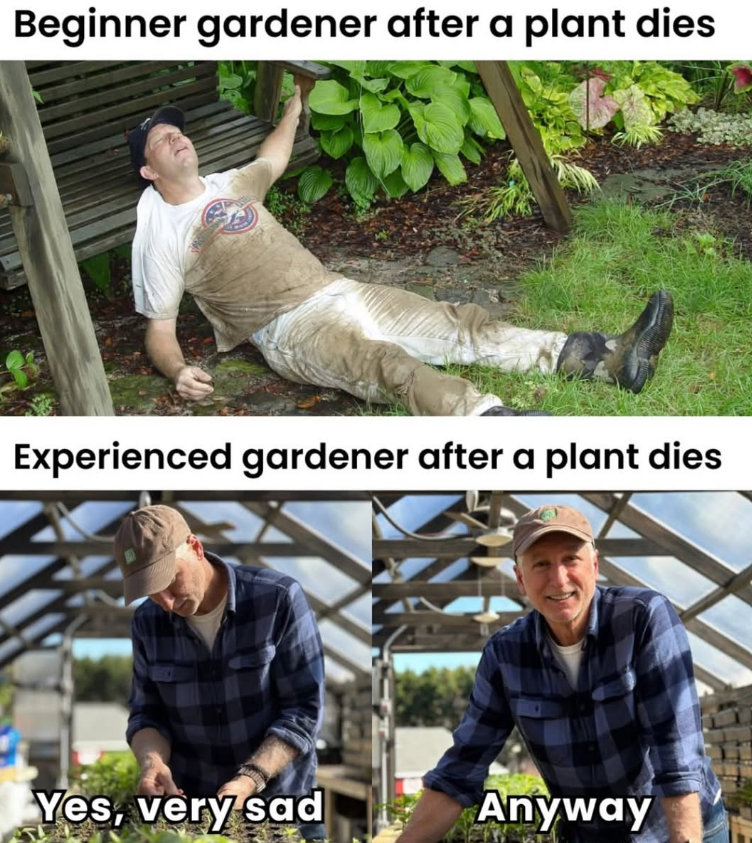 Beginner gardener after a plant dies Experienced gardener after a plant dies Yes, very sad Anyway