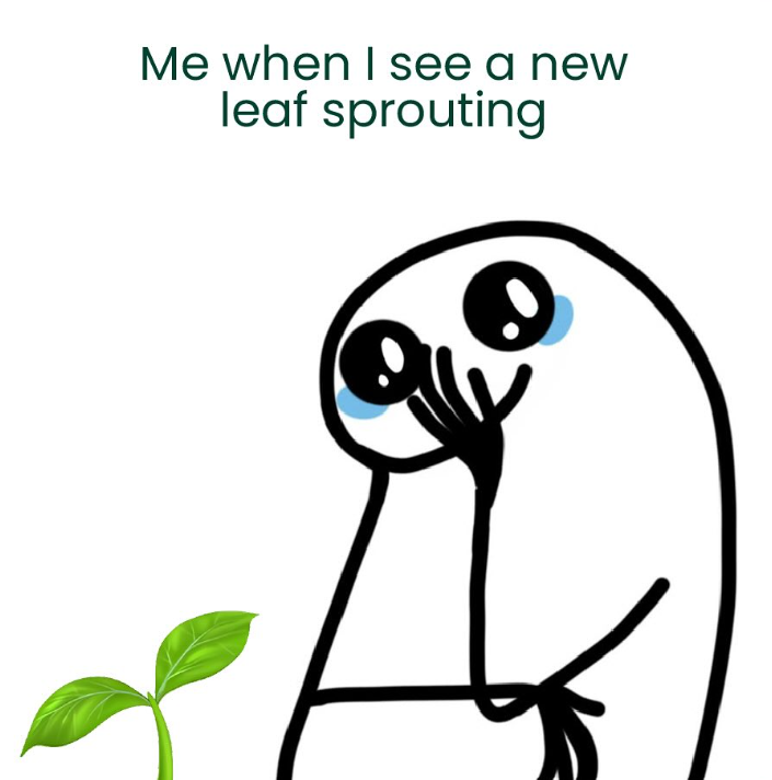 Me when I see a new leaf sprouting