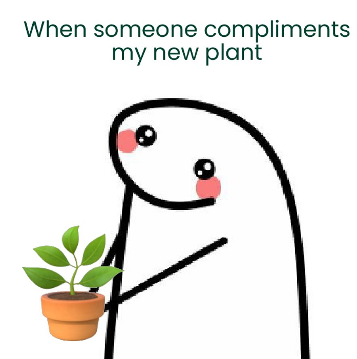 When someone compliments my new plant