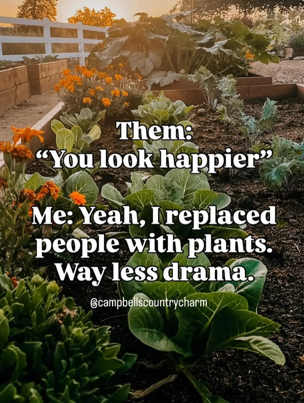 Them: "You look happier" Me: Yeah, I replaced people with plants. Way less drama. @campbellscountrycharm