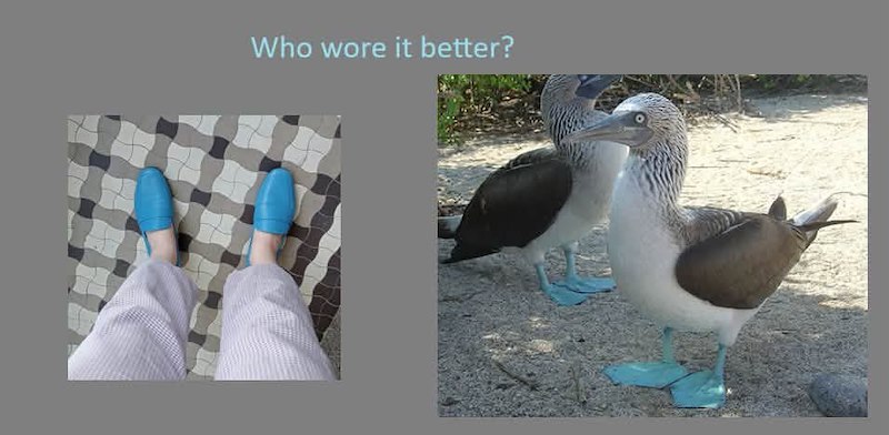 Who wore it better?
