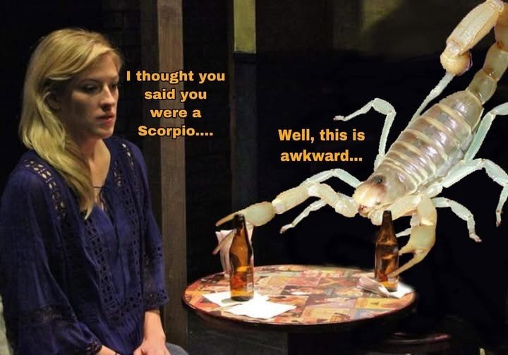 I thought you said you were a Scorpio.... Well, this is awkward...