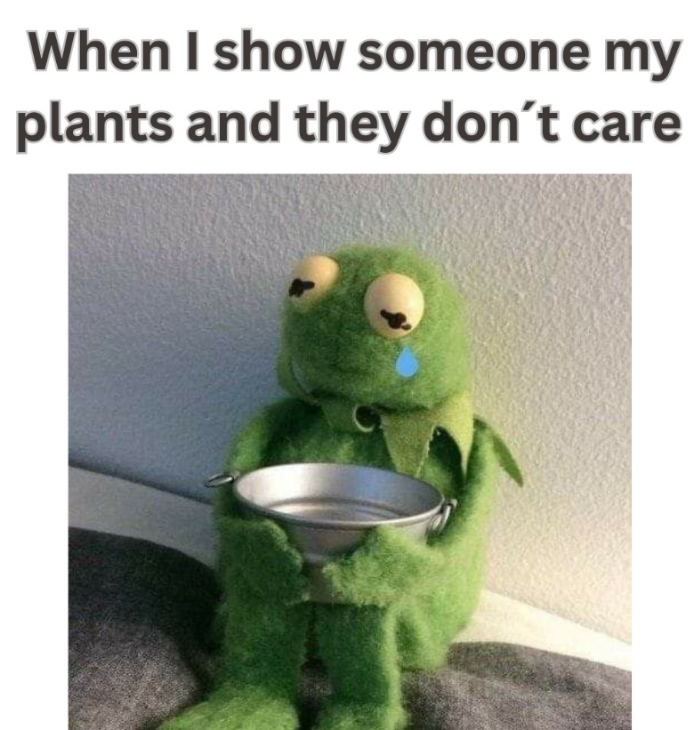 When I show someone my plants and they don't care