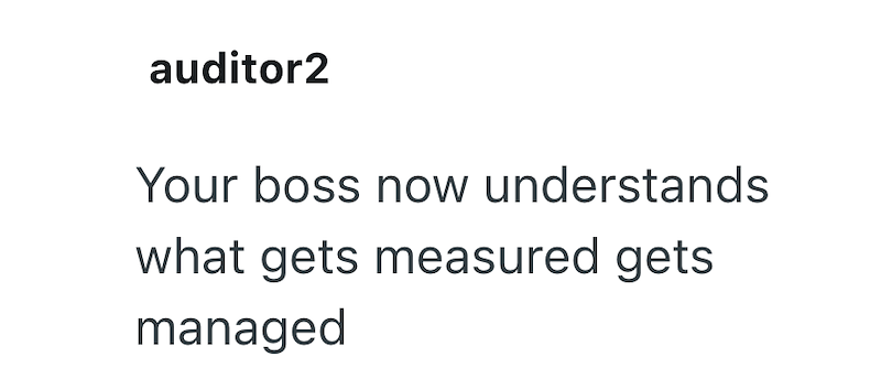 auditor2 Your boss now understands what gets measured gets managed