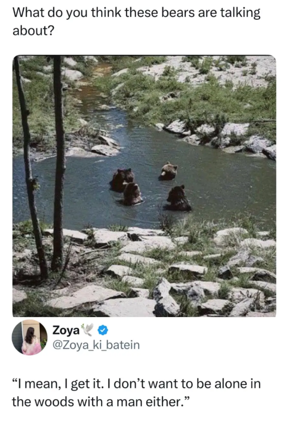 What do you think these bears are talking about? Zoya❤ @Zoya_ki_batein "I mean, I get it. I don't want to be alone in the woods with a man either."