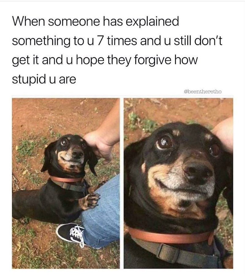 When someone has explained something to u 7 times and u still don't get it and u hope they forgive how stupid u are @beentheretho