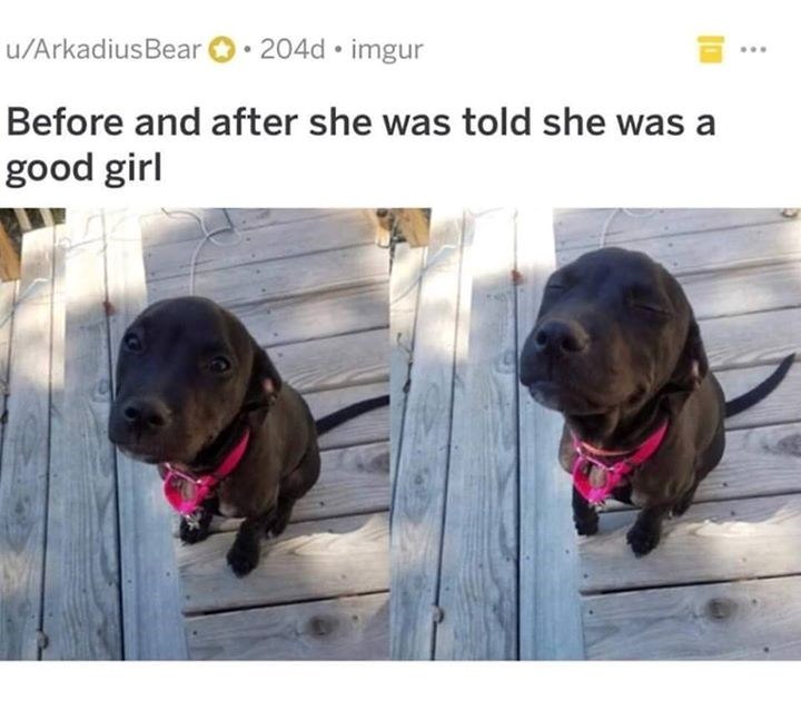 u/ArkadiusBear ⚫204d⚫ imgur Before and after she was told she was a good girl