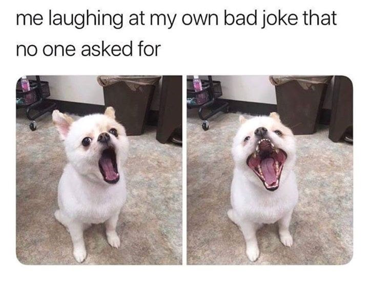 me laughing at my own bad joke that no one asked for