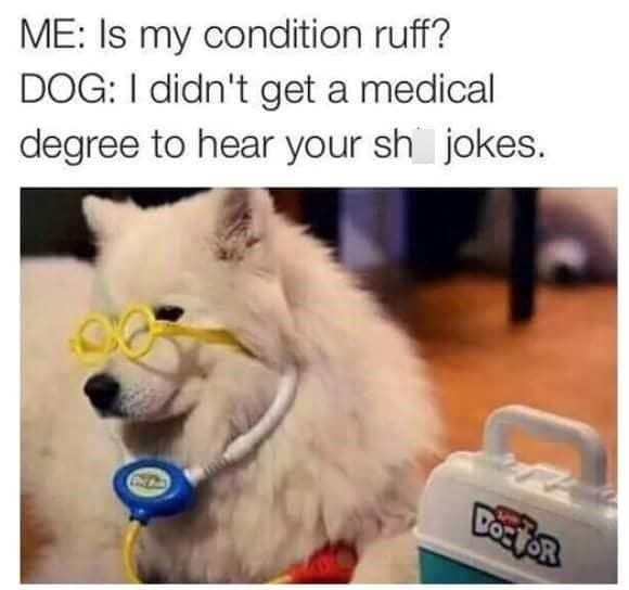 ME: Is my condition ruff? DOG: I didn't get a medical degree to hear your sh jokes. DOEFOR
