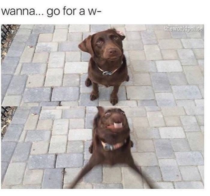 wanna... go for a w- theworldpolice