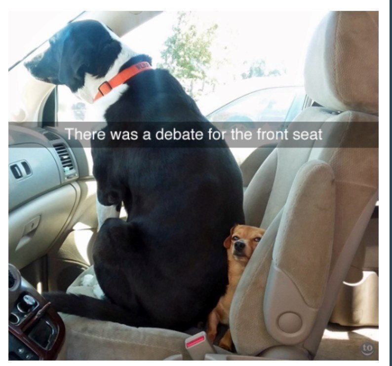 DJ There was a debate for the front seat to