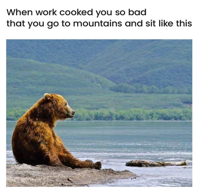 When work cooked you so bad that you go to mountains and sit like this