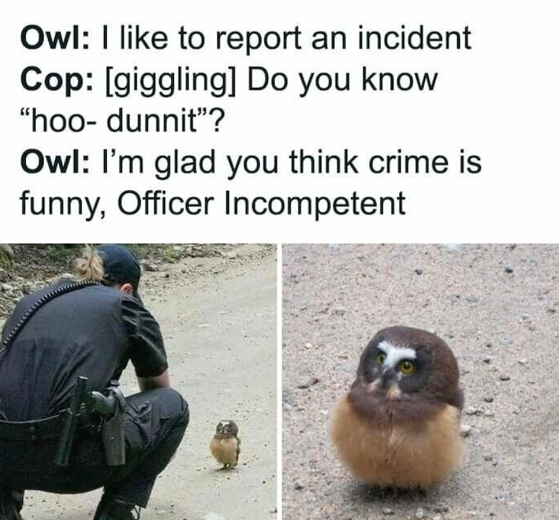 Owl: I like to report an incident Cop: [giggling] Do you know "hoo- dunnit"? Owl: I'm glad you think crime is funny, Officer Incompetent