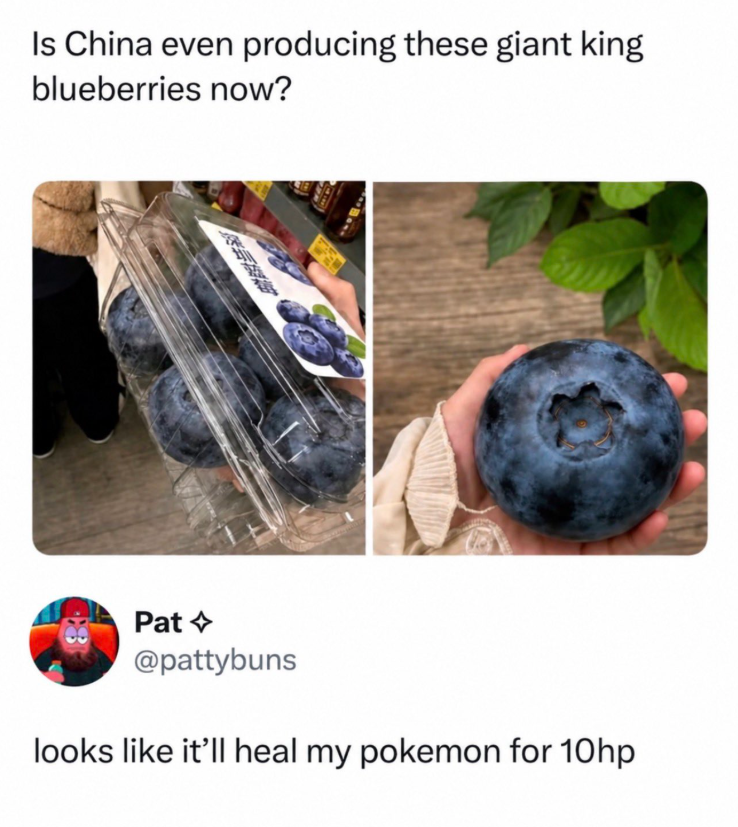 Is China even producing these giant king blueberries now? Pat @pattybuns looks like it'll heal my pokemon for 10hp