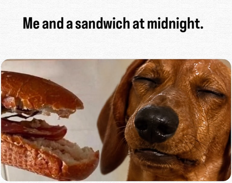 Me and a sandwich at midnight.