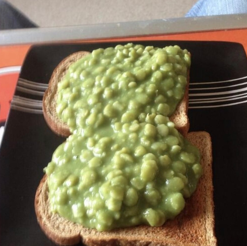 Cheezburger Image 10672244224