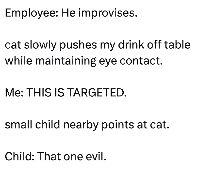 Employee: He improvises. cat slowly pushes my drink off table while maintaining eye contact. Me: THIS IS TARGETED. small child nearby points at cat. Child: That one evil.
