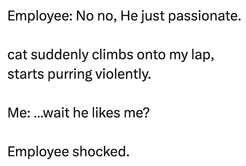 Employee: No no, He just passionate. cat suddenly climbs onto my lap, starts purring violently. Me: ...wait he likes me? Employee shocked.
