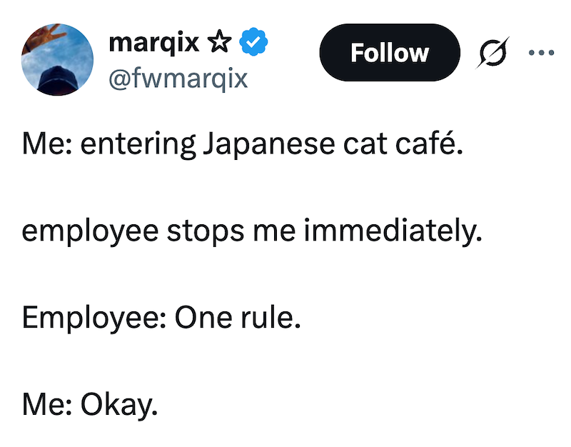 marqix ✰✰ @fwmarqix Follow Me: entering Japanese cat café. employee stops me immediately. Employee: One rule. Me: Okay.