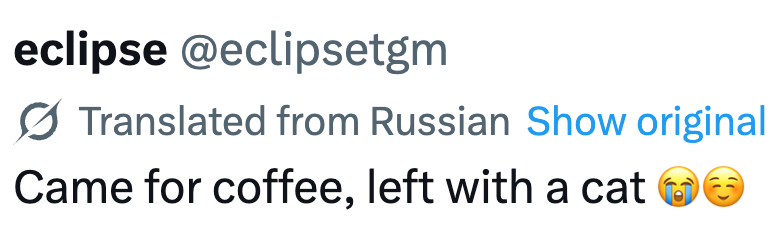 eclipse @eclipsetgm Translated from Russian Show original Came for coffee, left with a cat