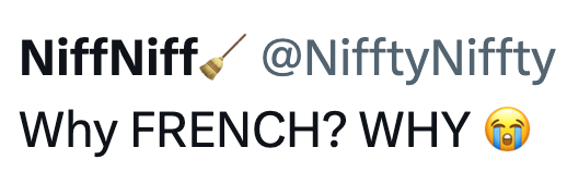 NiffNiff @NifftyNiffty Why FRENCH? WHY